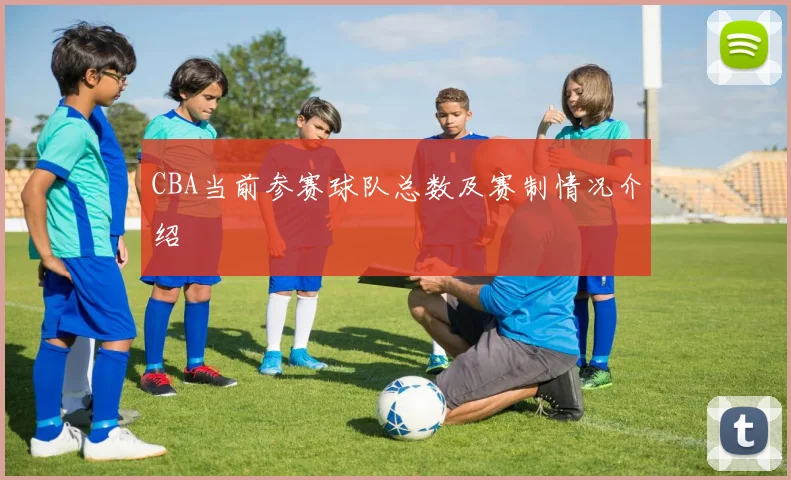 CBA当前参赛球队总数及赛制情况介绍