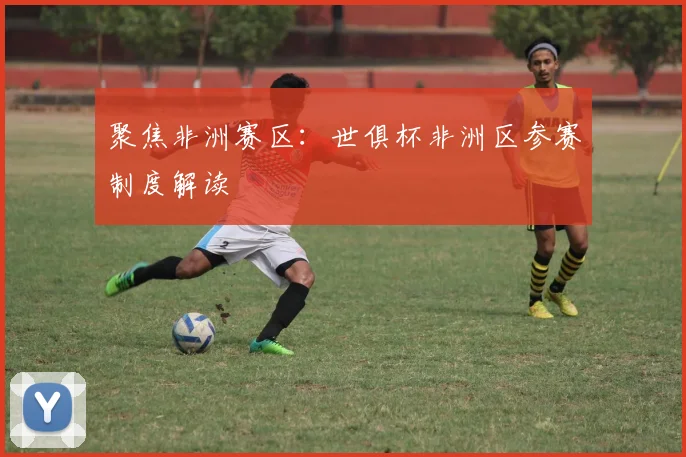聚焦非洲赛区：世俱杯非洲区参赛制度解读