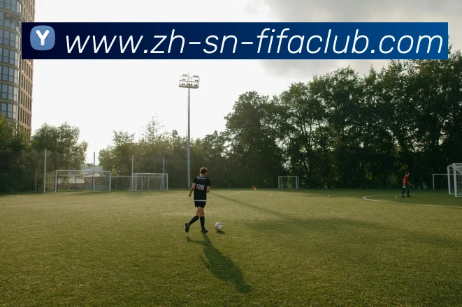 多媒体互动体验